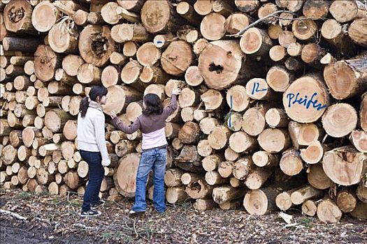孩子,站立,正面,大,一堆木材,树,切削,风暴,黑森州,德国