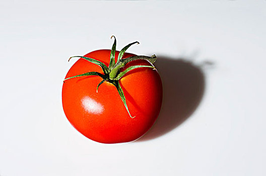 西红柿,影子