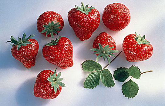 红色,成熟,草莓