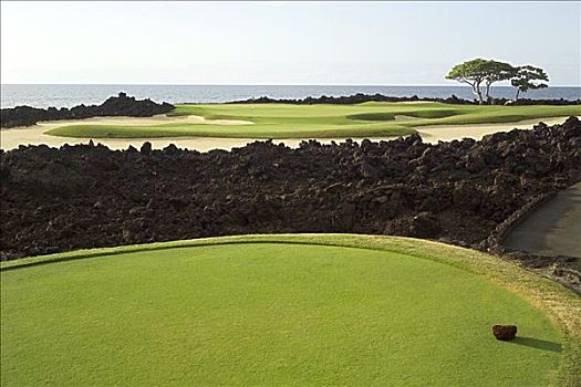 夏威夷,柯哈拉海岸,高尔夫球场,球座,场地,海洋