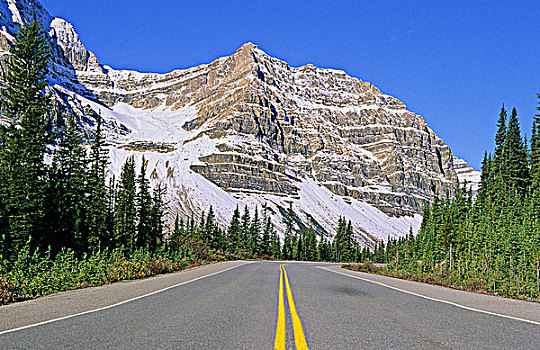 冰原大道,公路,班芙国家公园,艾伯塔省,加拿大