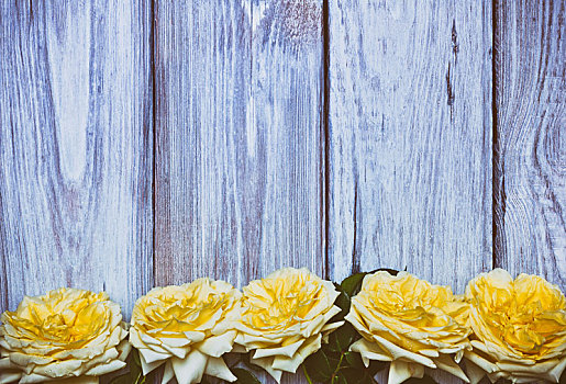 花束,黄色,玫瑰,白色,木质背景