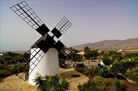 风车,安提瓜岛,富埃特文图拉岛,加纳利群岛,西班牙