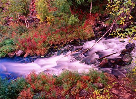 秋天,河,加拿大西北地区,加拿大