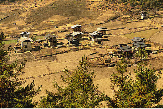建筑,农田,山谷,不丹