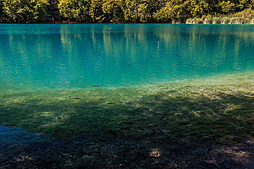 克罗地亚普利特维采湖国家公园