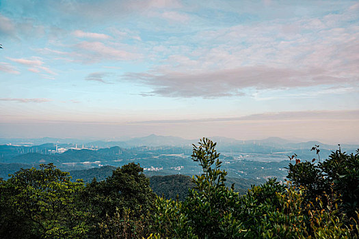 初冬12月登高羊城广州帽峰山沿途美景