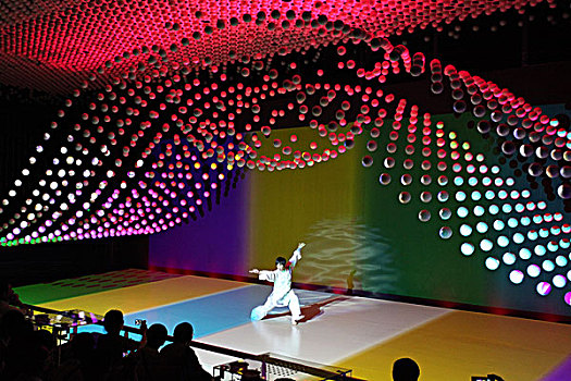 2010年上海世博会-中国民企馆