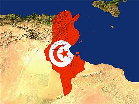 卫星图,突尼斯,旗帜,遮盖