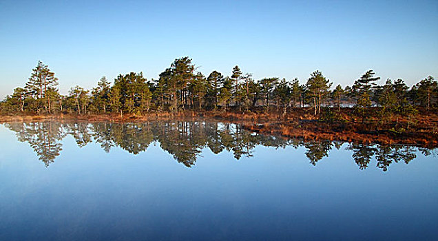 湿地,爱沙尼亚