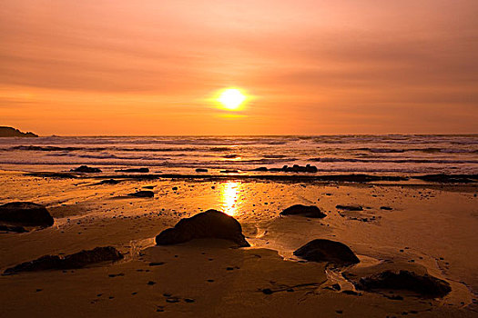 日落,反射,海岸线,俄勒冈,美国