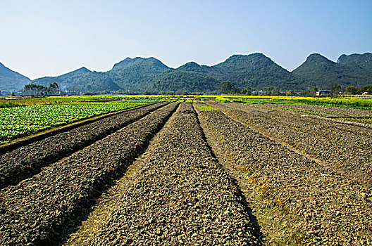 田园秋色