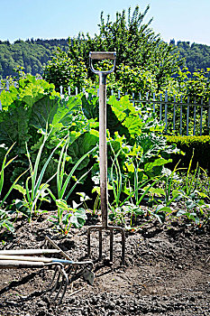 园艺叉,园艺工具,蔬菜