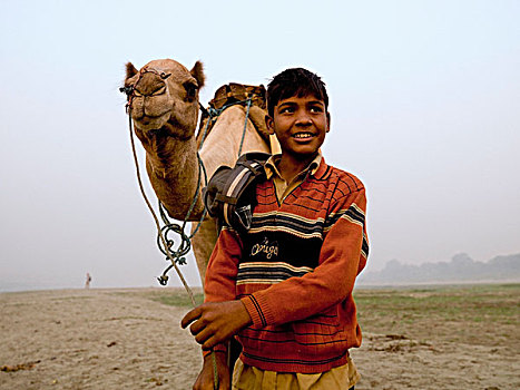 男孩,骆驼,印度