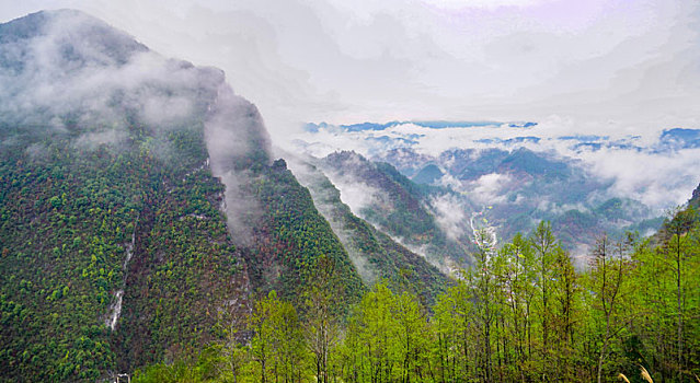 武陵山区春天早晨雾景美