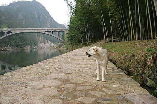 浙江石桅山风光