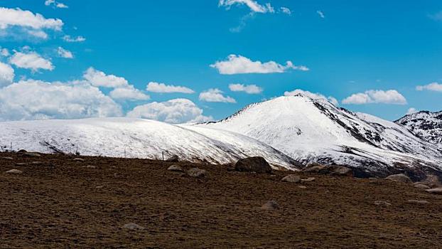 中国青海久治县境内的草原雪山风光