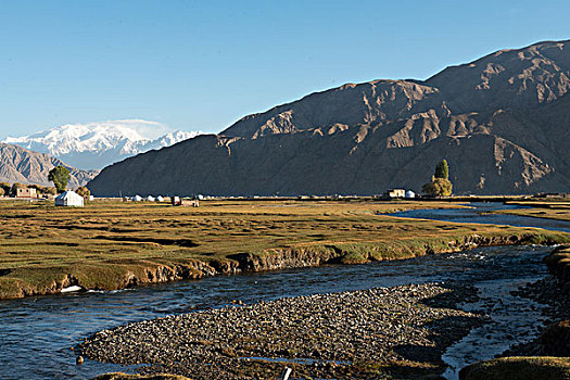 金草滩湿地