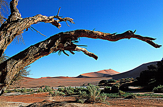 索苏维来地区,沙丘,纳米布沙漠