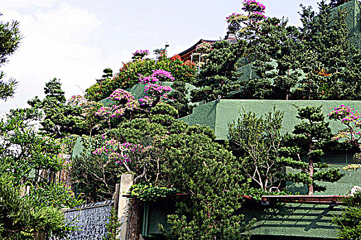 女修道院,中式花园,山,香港