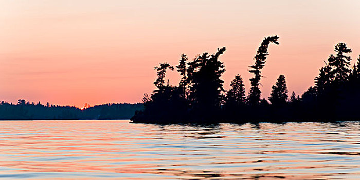发光,日落,黄昏,湖,木头,安大略省,加拿大