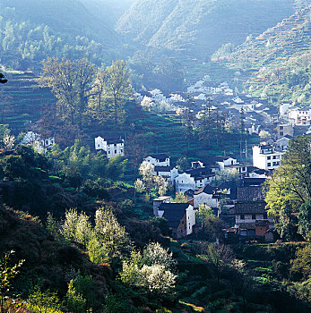 江西婺源晓鳙村