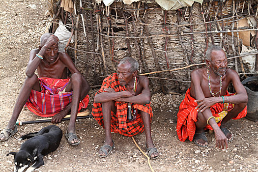 男人,部落,肯尼亚