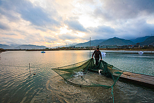 宁海,海塘,鱼塘,养殖,船,早晨