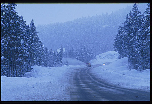 交通工具,驾驶,冬天,景色