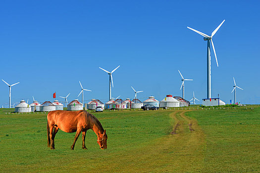 马,内蒙古草原,新能源,风力发电