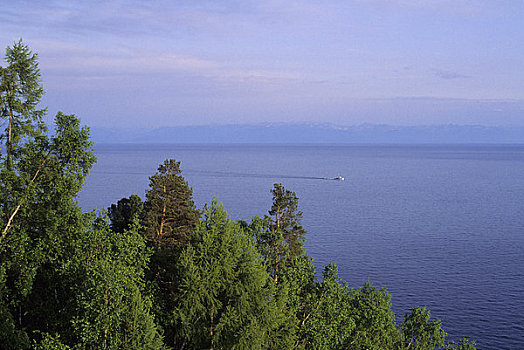俄罗斯,西伯利亚,贝加尔湖,船,靠近,针叶林带,树林,背景