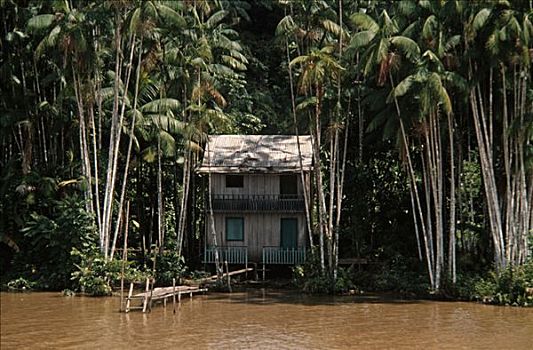小屋,亚马逊河,巴西,南美