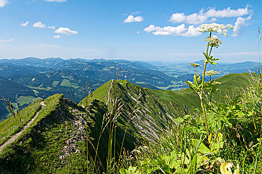 顶峰,山,奥伯斯多夫,巴伐利亚,德国,欧洲