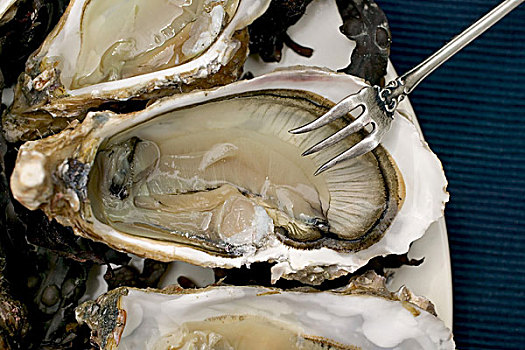 牡蛎,银,叉子,布列塔尼半岛,法国