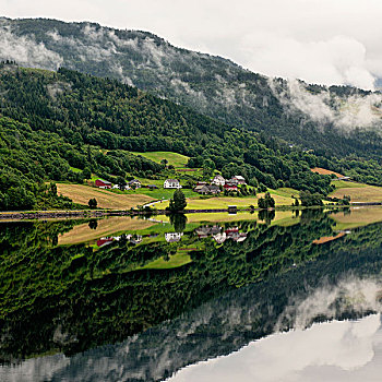 房子,树林,山坡,反射,平和,水,挪威