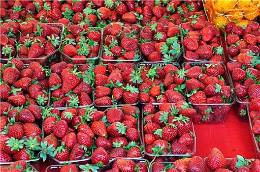 草莓,水果,背景