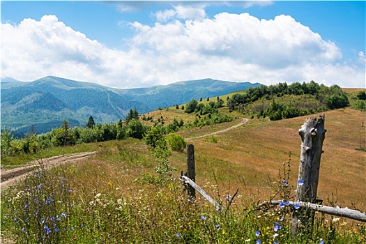 木篱,风景,乌克兰,喀尔巴阡山脉