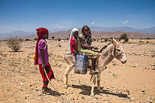 孩子,驴,途中,水坑,低地,厄立特里亚,非洲