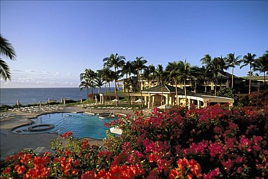 夏威夷,曼内雷,湾,酒店,游泳池,区域,海景