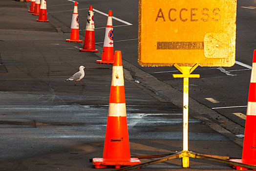 道路施工