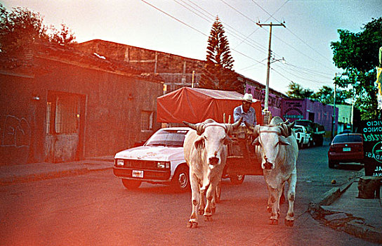 危地马拉,街道