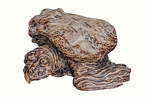 乌龟树藤雕塑