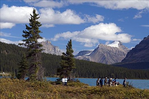 游客,走,弓湖,注视,攀升,弓形谷,班芙国家公园,艾伯塔省,加拿大