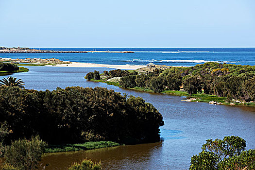 河,河口,西澳大利亚,澳大利亚