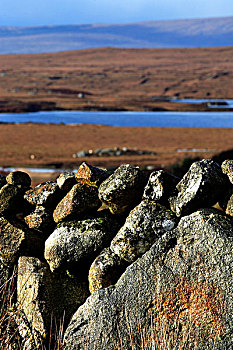 石头,墙壁,栅栏,高沼地,爱尔兰,欧洲