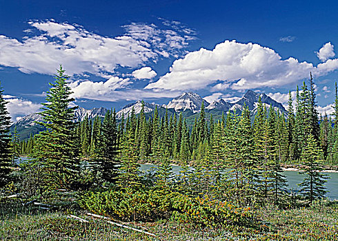 山脉,库特尼国家公园,不列颠哥伦比亚省,加拿大