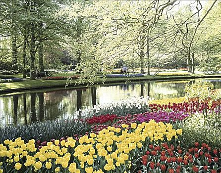 库肯霍夫花园,荷兰