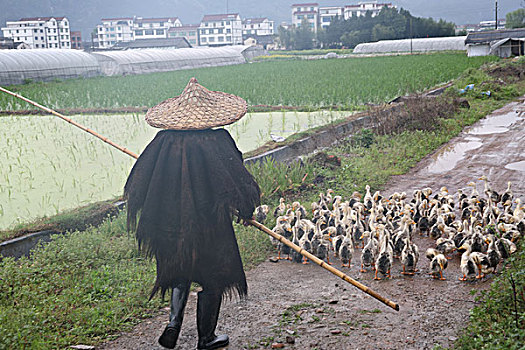 云河古村