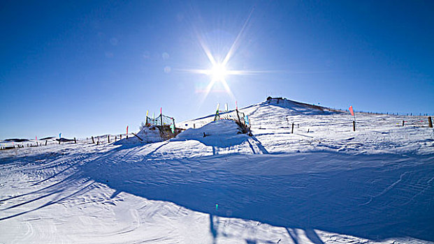 雪,太阳,木材,冬季乌兰布统