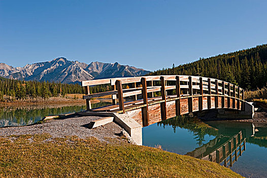 步行桥,水塘,班芙国家公园,班芙,艾伯塔省,加拿大
